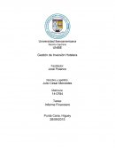 Gestión de inversión hotelera. Tarea: Informe financiero