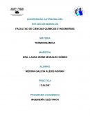 PRÁCTICA “CALOR”