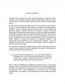 CAMPOSOL RESUMEN DE UN TRABAJO