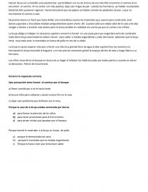 Comprecion lectora y el uso de gue gui y los disminutivo. Página 1