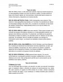 Tipos de redes. Tipos de terminales