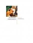Puerperio fisiologico