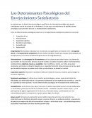 Determinantes psicológicos del envejecimiento satisfactorio
