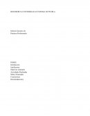 Informe Ejecutivo de Prácticas Profesionales