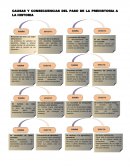 CAUSAS Y CONSECUENCIAS DE LA PREHISTORIA A LA HISTORIA