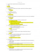 ¿Cómo se llama el conjunto de protocolos utilizado por Internet?