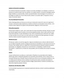 Capitulo 10 intuicion estrategica