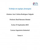 Ensayo quinta diciplina