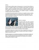 AMBIENTE Y SUSTEN