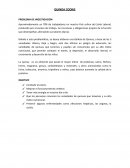 Guia de Pautas de galletas de quinua