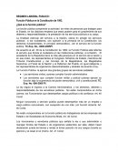 REGIMEN LABORAL PUBLICO : Función Pública en la Constitución de 1993