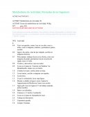 Metabolismo de Actividad, Fórmulas de un Ingeniero