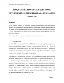 Bloques multinutricionales como suplemento alimenticio