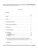 CAAPS: Manual de organización para la prestación de servicios de salud eficientes y modernos