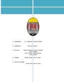 Ensayo sobre la pelicula: EL VUELO