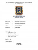 Trabajo en Equipo Psicología Organizacional