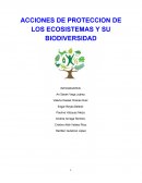 Acciones de proteccion de los ecosistemas