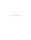 Cual es la Descripción de procesos del proyecto evaluado