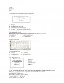 Evaluacion evaluacion diagnostica