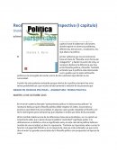 Política y perspectiva