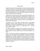 Agricultura, una de las fuentes esenciales frente a las actividades económicas