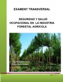 SEGURIDAD Y SALUD OCUPACIONAL EN LA INDUSTRIA FORESTAL AGRICOLA