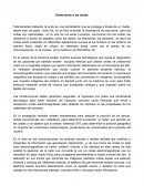 Observando a las ondas