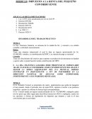 DESARROLLO DEL TRABAJO PRÁCTICO REGLAMENTACIONES