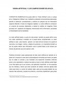 VISION ARTIFICIAL Y LOS CAMPOS DONDE SE APLICA