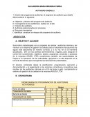 Como Identificar y evaluar los riesgos del programa de auditoría