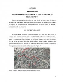 NECESIDADES EDUCATIVAS ESPECIALES (DEBILES VISUALES) EN EDUCACION FISICA. Página 1