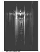 MI EXTRAÑA EXPERIENCIA EN EL STADIUM HERNANDO SILES