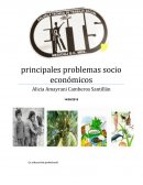 Cuales son los principales problemas socio económicos