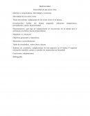 Diversidad de los seres vivos.