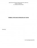 TERMINAL PORTUARIA OPERADORA DE TUXPAN