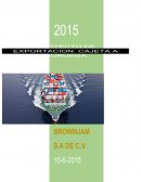 ADMINISTRACION DE NEGOCIOS INTERNACIONALES EVALUACION DE PROYECTOS DE EXPORTACION