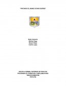 PROGRAMA DE FORMACIÓN COMPLEMENTARIA