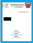Análisis de la película "mi vida en rosa"