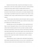 Empezaba otro día más para Aldana