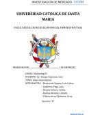 PLAN DE INVESTIGACION DE MERCADOS
