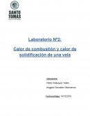 Calor de combustión y calor de solidificación de una vela