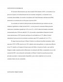 UN NUEVO Programa de supuesto C&C POWER TECNOLOGIES