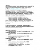 Ensayo de Teoria trpecv