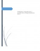 Resúmen de "un sueño posible"