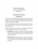 PRACTICA N° 5 DETERMINACION DE LIPIDOS