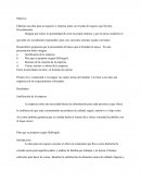 Ensayo- Emprendimiento