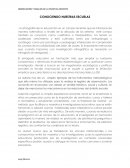 Ensayo Conociendo nuestras escuelas