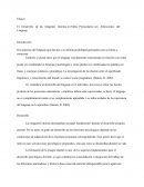 El gran Desarrollo de las Imágenes Internas en Niños