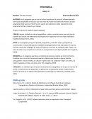 El nuevo Programa ingerieria civil