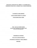 ANÁLISIS DE LA MOVILIDAD VIAL URBANA Y LA ACCESIBILIDAD AL TRANSPORTE PÚBLICO DE LA COMUNA 5 DE LA CIUDAD DE MONTERÍA